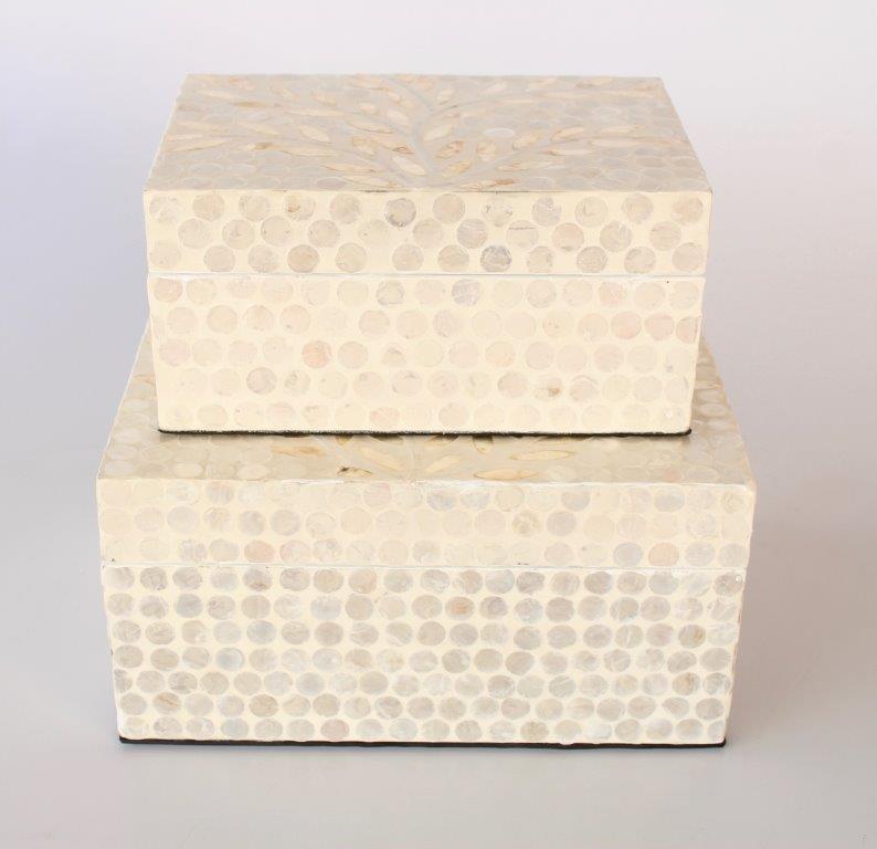 Set Of 2 Cream & Ivory Colour Capiz Boxes